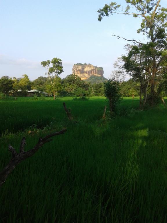 Sigiri Leisure Holiday Home Sigiriya Exterior photo